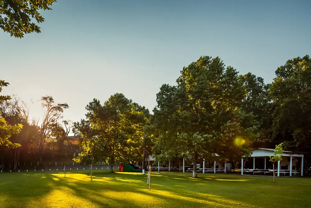 Gramado com árvores grandes e sombra no fim da tarde